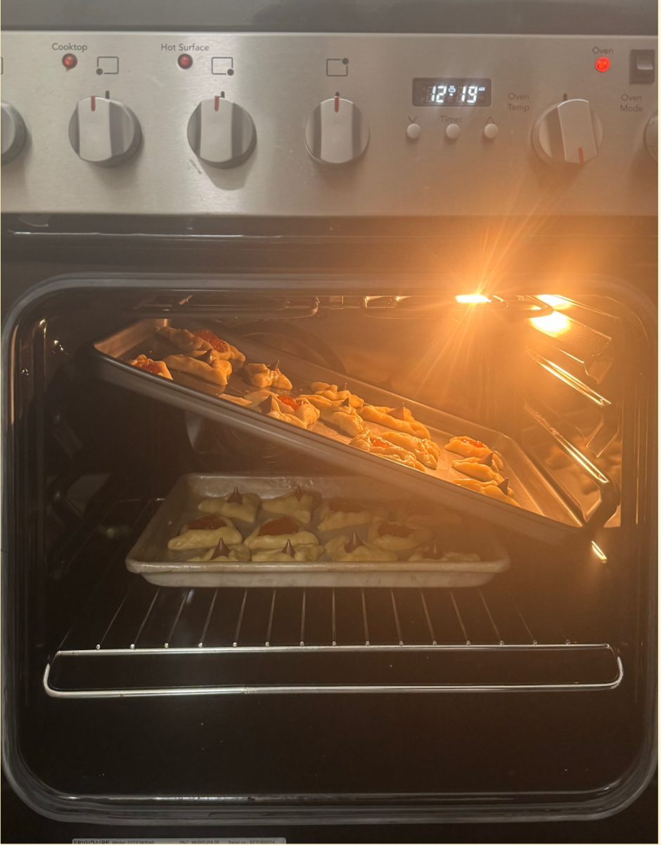 Picture of a regular cookie sheet in a Tower Court Oven. Image courtesy of Rebecca Birnbach.